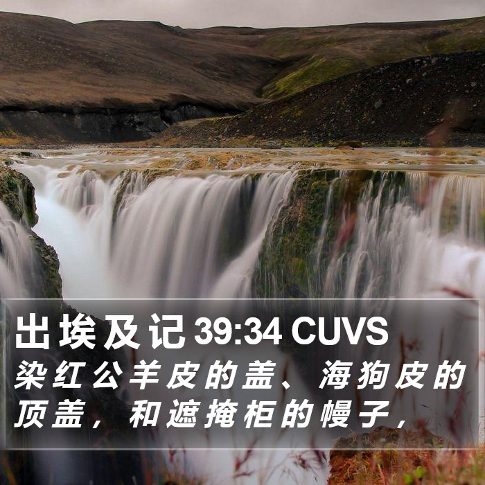 出 埃 及 记 39:34 CUVS Bible Study