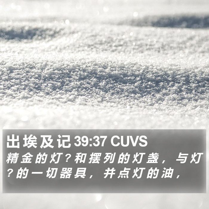 出 埃 及 记 39:37 CUVS Bible Study