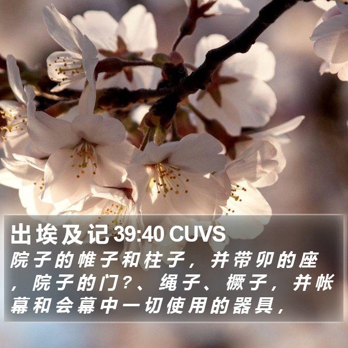 出 埃 及 记 39:40 CUVS Bible Study