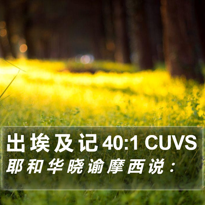 出 埃 及 记 40:1 CUVS Bible Study