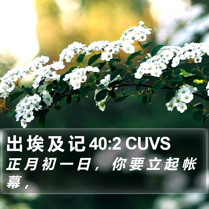 出 埃 及 记 40:2 CUVS Bible Study