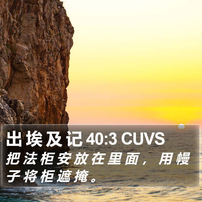 出 埃 及 记 40:3 CUVS Bible Study