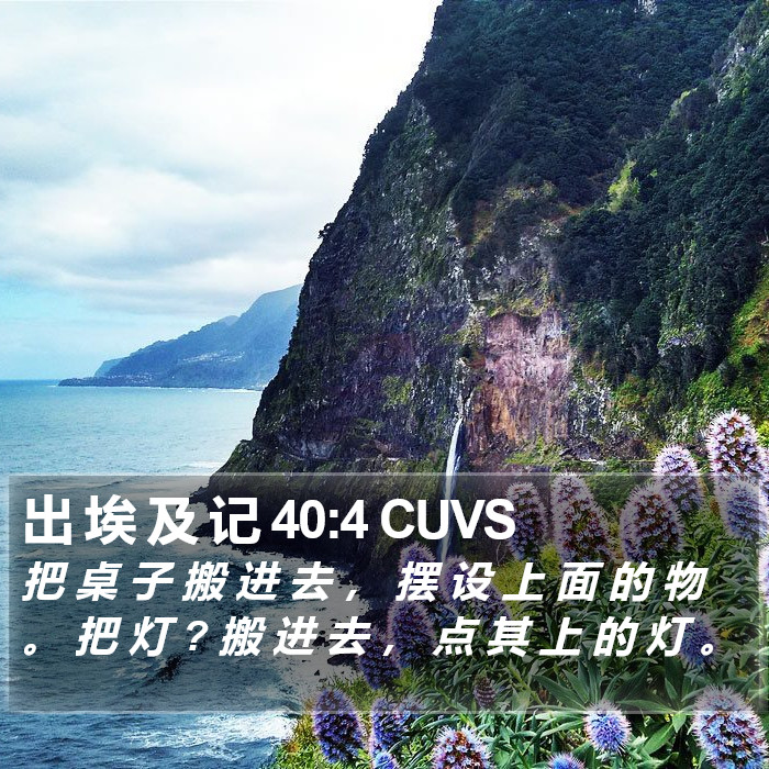 出 埃 及 记 40:4 CUVS Bible Study
