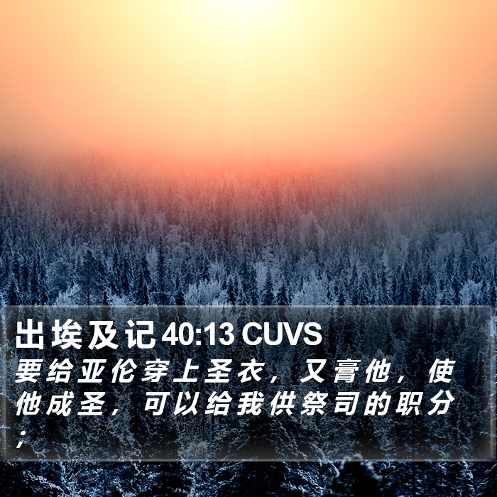 出 埃 及 记 40:13 CUVS Bible Study
