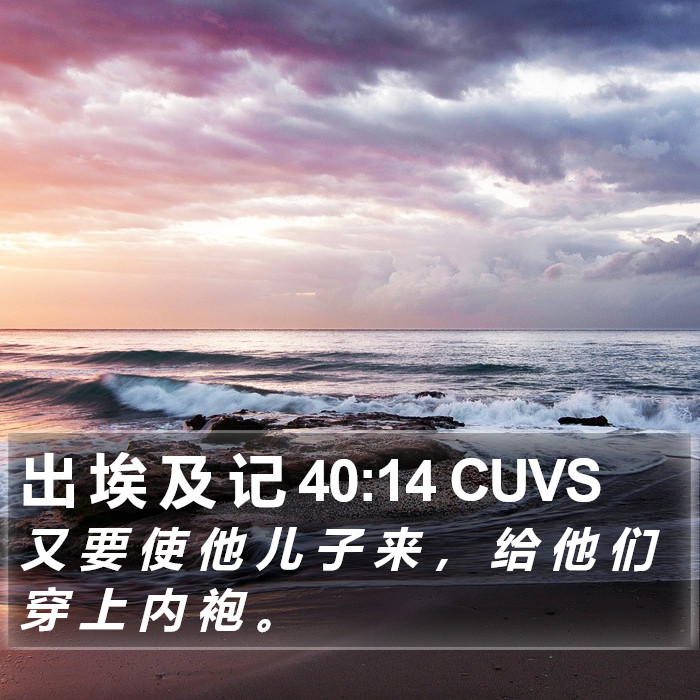 出 埃 及 记 40:14 CUVS Bible Study