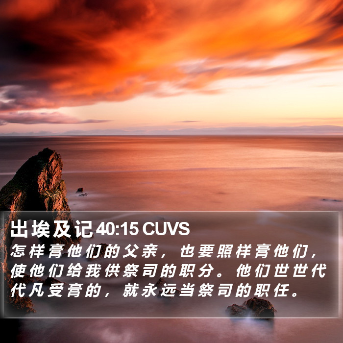 出 埃 及 记 40:15 CUVS Bible Study