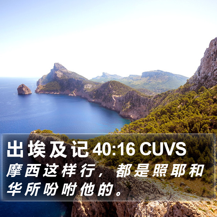 出 埃 及 记 40:16 CUVS Bible Study