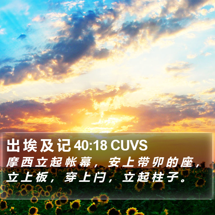 出 埃 及 记 40:18 CUVS Bible Study