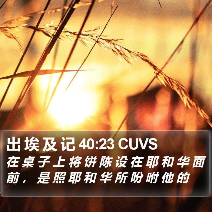 出 埃 及 记 40:23 CUVS Bible Study