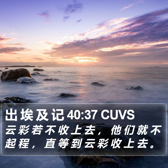 出 埃 及 记 40:37 CUVS Bible Study
