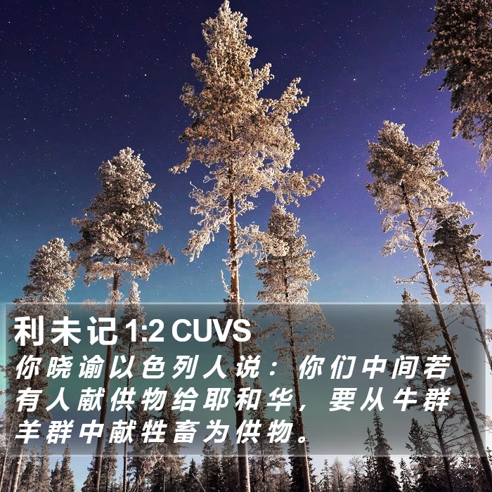 利 未 记 1:2 CUVS Bible Study