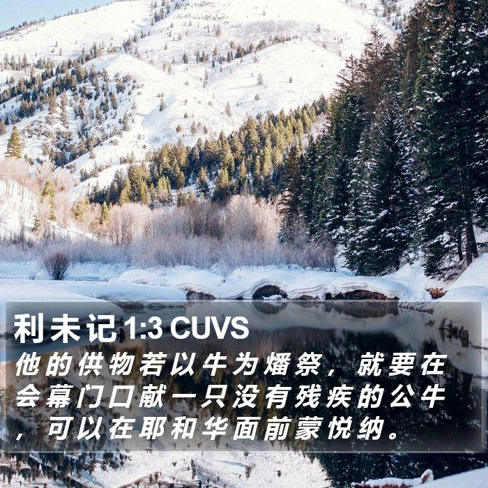 利 未 记 1:3 CUVS Bible Study