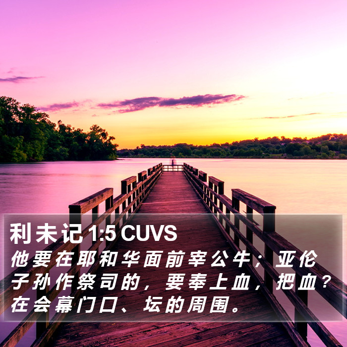 利 未 记 1:5 CUVS Bible Study