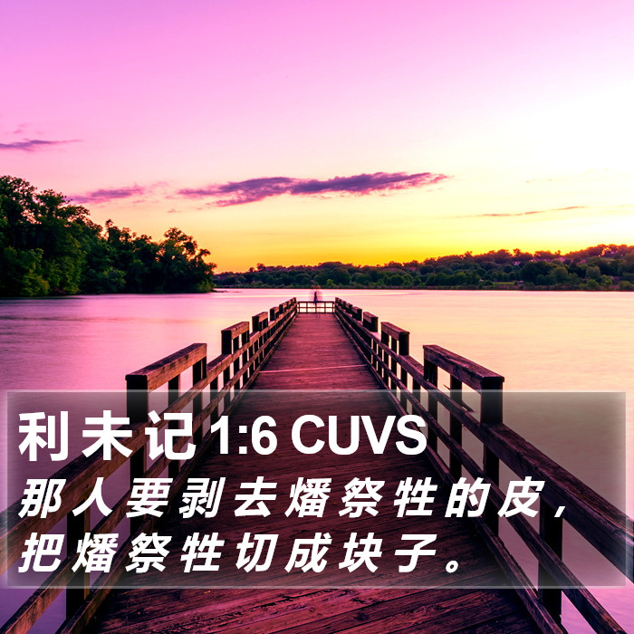 利 未 记 1:6 CUVS Bible Study