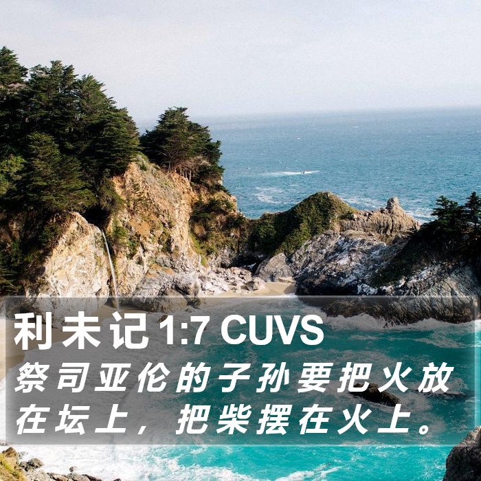 利 未 记 1:7 CUVS Bible Study