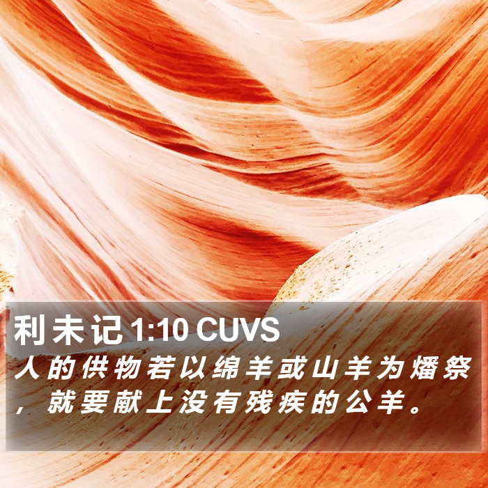 利 未 记 1:10 CUVS Bible Study