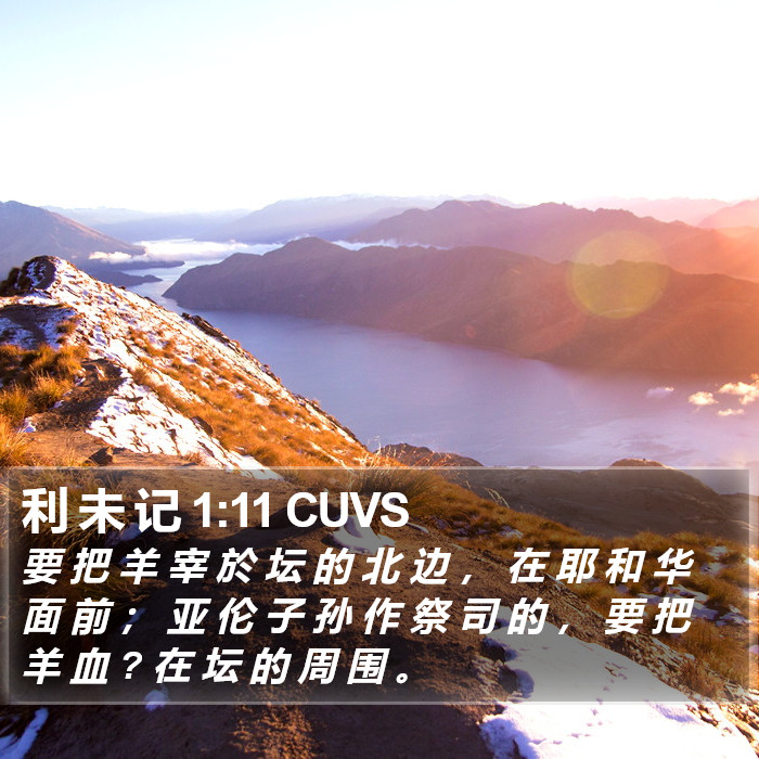 利 未 记 1:11 CUVS Bible Study