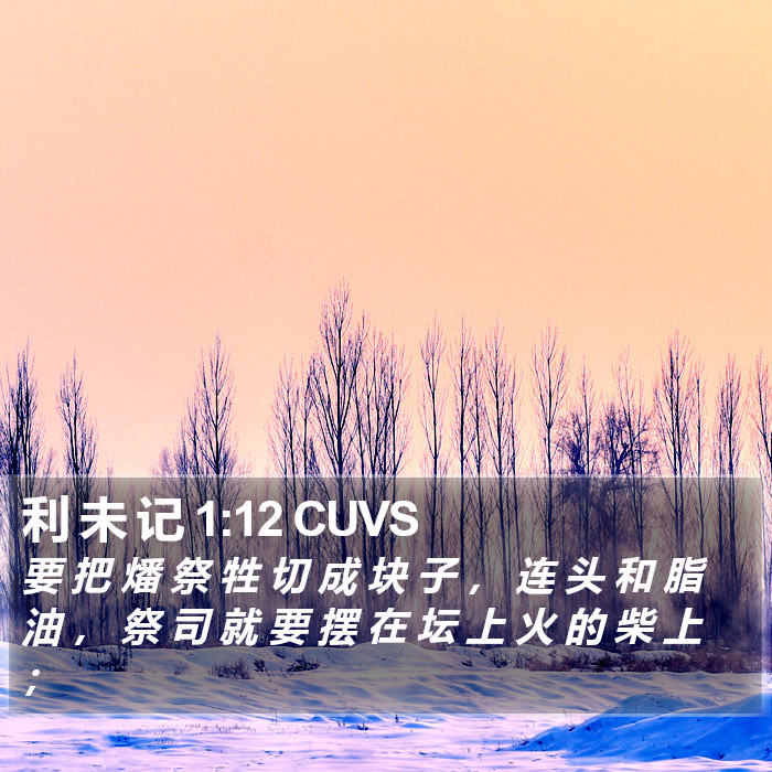 利 未 记 1:12 CUVS Bible Study