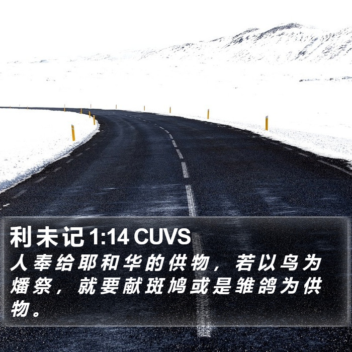 利 未 记 1:14 CUVS Bible Study