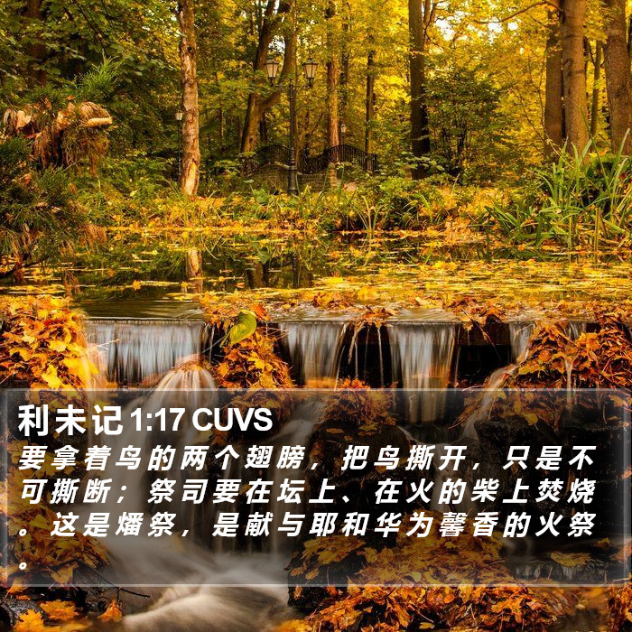 利 未 记 1:17 CUVS Bible Study