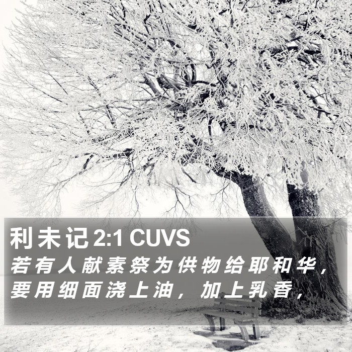 利 未 记 2:1 CUVS Bible Study