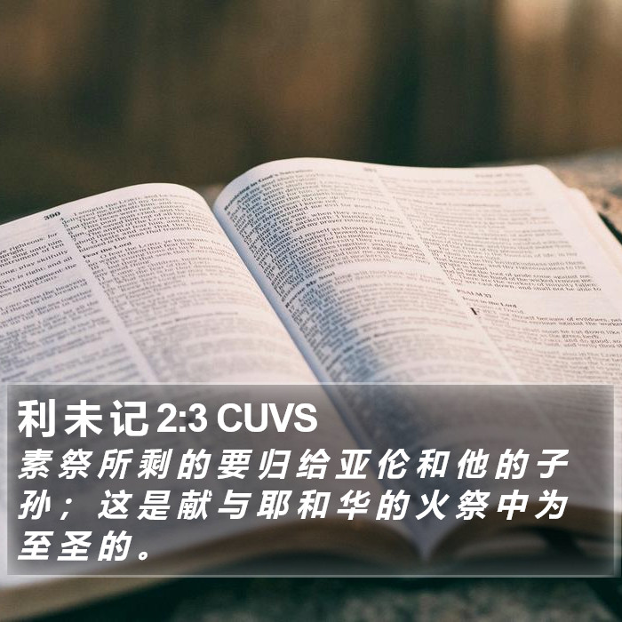 利 未 记 2:3 CUVS Bible Study