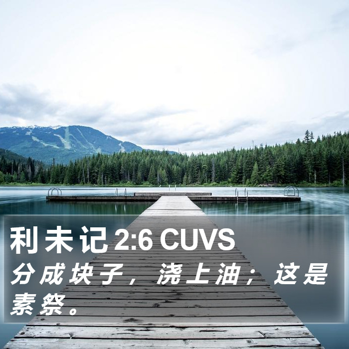 利 未 记 2:6 CUVS Bible Study