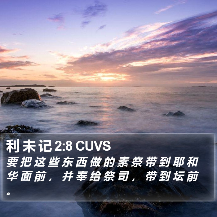 利 未 记 2:8 CUVS Bible Study