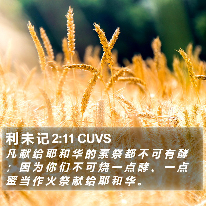 利 未 记 2:11 CUVS Bible Study