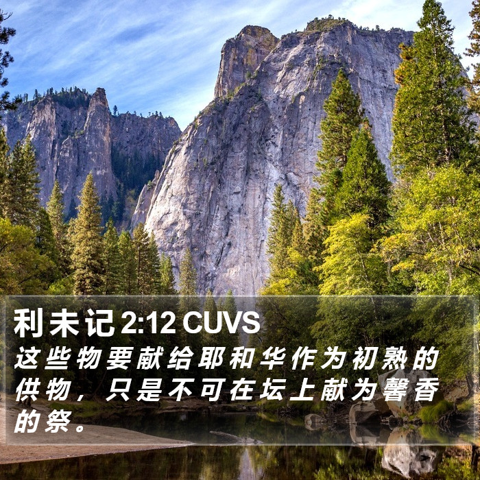 利 未 记 2:12 CUVS Bible Study
