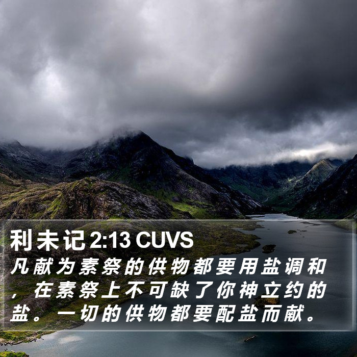 利 未 记 2:13 CUVS Bible Study