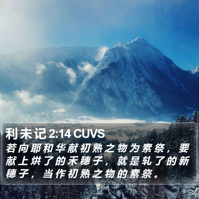 利 未 记 2:14 CUVS Bible Study