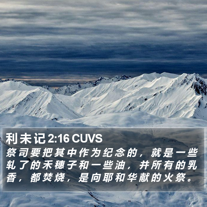利 未 记 2:16 CUVS Bible Study