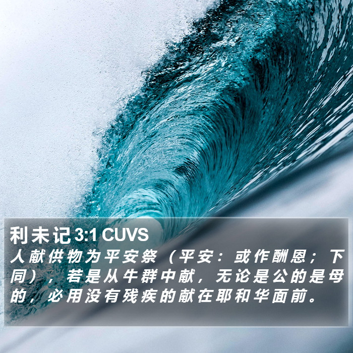 利 未 记 3:1 CUVS Bible Study