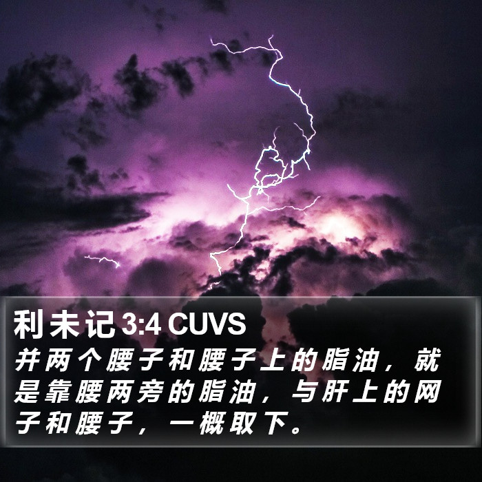 利 未 记 3:4 CUVS Bible Study