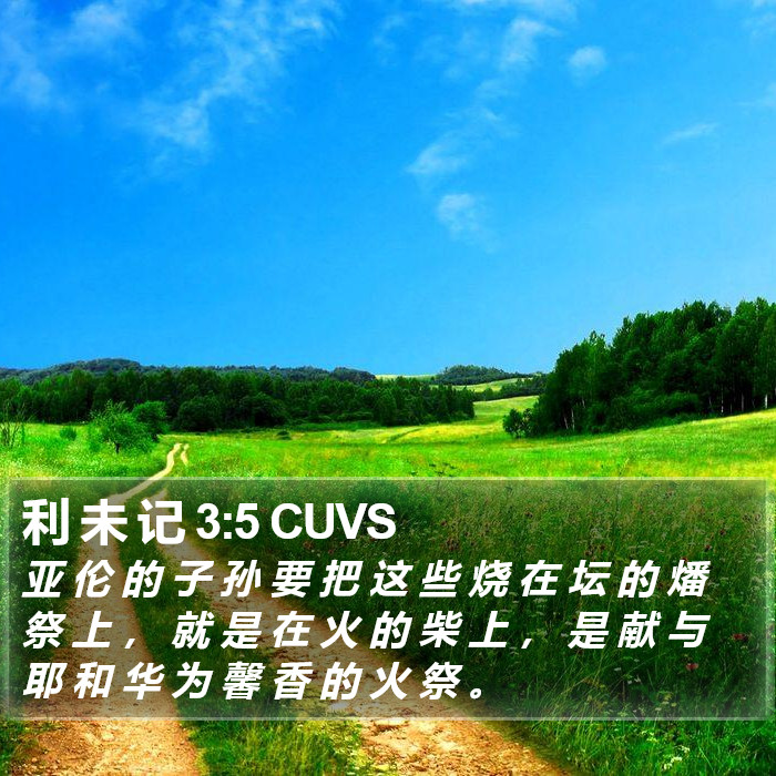 利 未 记 3:5 CUVS Bible Study