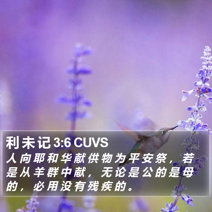 利 未 记 3:6 CUVS Bible Study