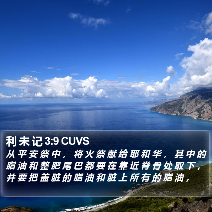 利 未 记 3:9 CUVS Bible Study