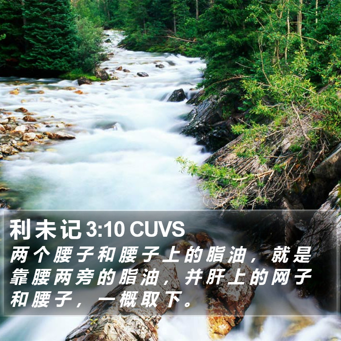 利 未 记 3:10 CUVS Bible Study