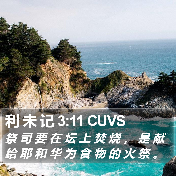 利 未 记 3:11 CUVS Bible Study