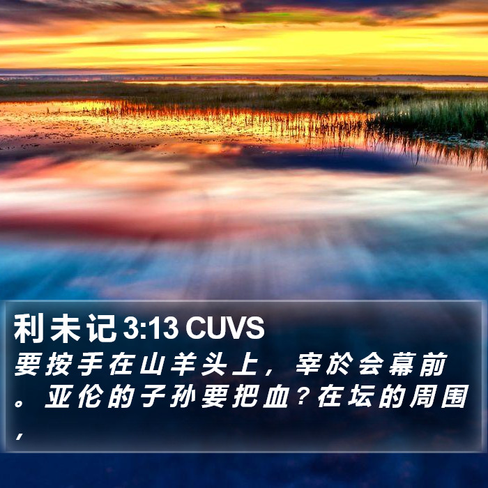 利 未 记 3:13 CUVS Bible Study