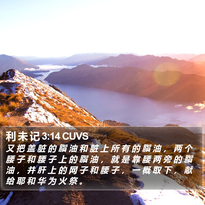 利 未 记 3:14 CUVS Bible Study