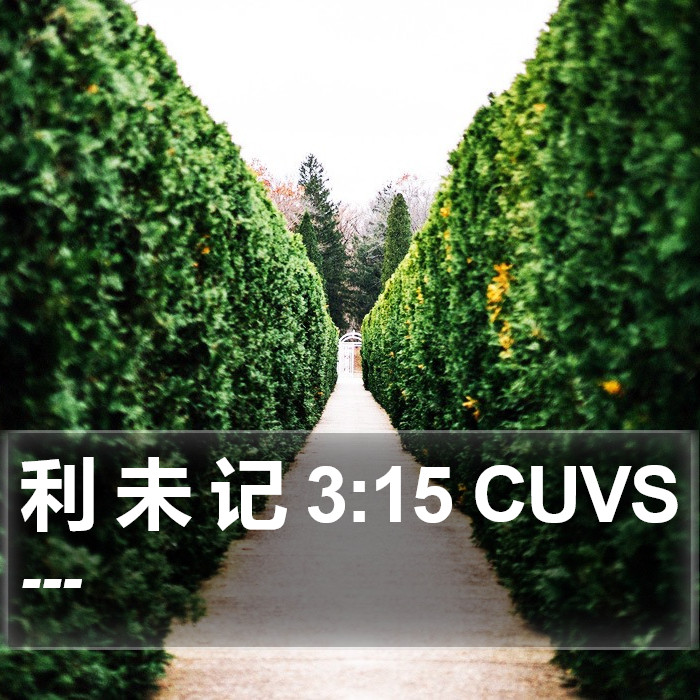 利 未 记 3:15 CUVS Bible Study