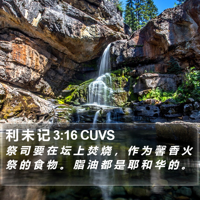 利 未 记 3:16 CUVS Bible Study