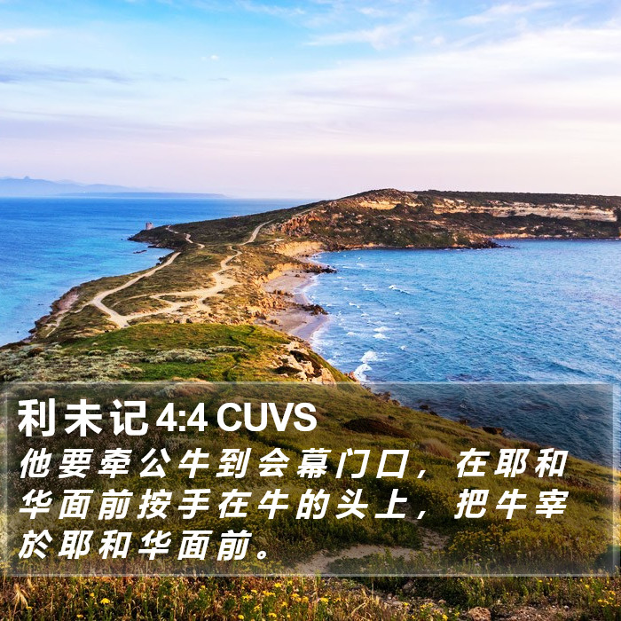 利 未 记 4:4 CUVS Bible Study