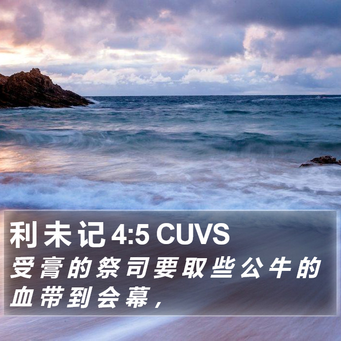 利 未 记 4:5 CUVS Bible Study