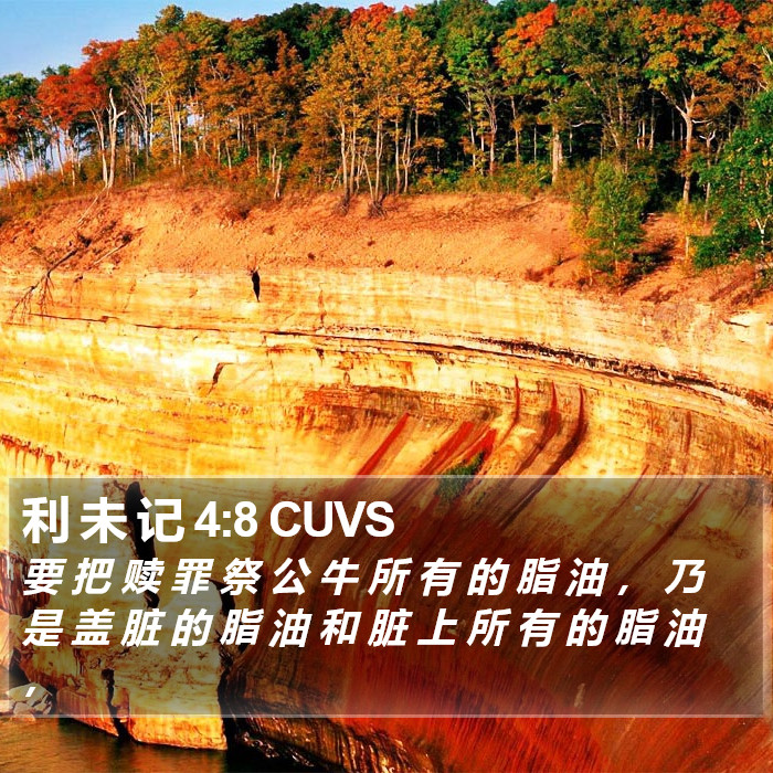 利 未 记 4:8 CUVS Bible Study