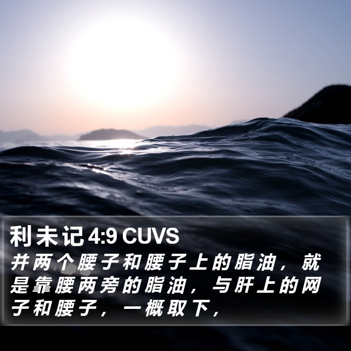 利 未 记 4:9 CUVS Bible Study