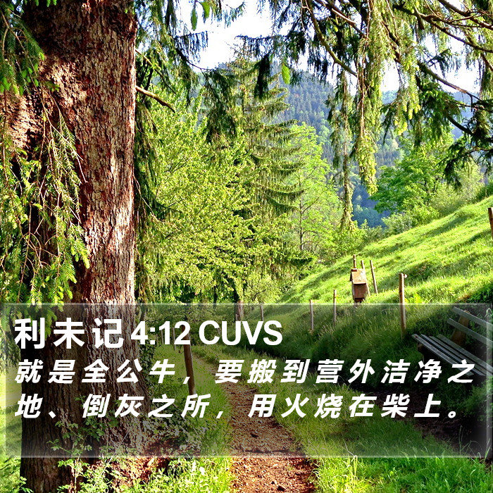 利 未 记 4:12 CUVS Bible Study