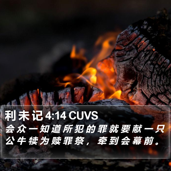 利 未 记 4:14 CUVS Bible Study
